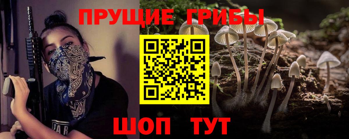Ивантеевка  Галлюциногенные грибы Cubensis  Вход с VPN 